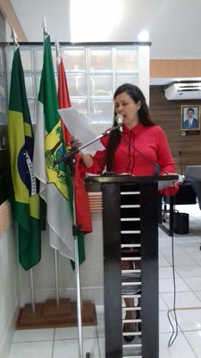 13ª Sessão Plenária