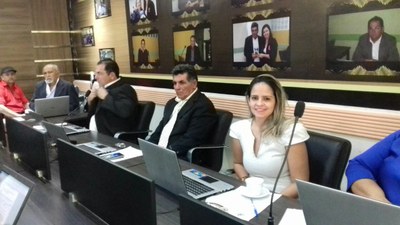 13ª Sessão Plenária