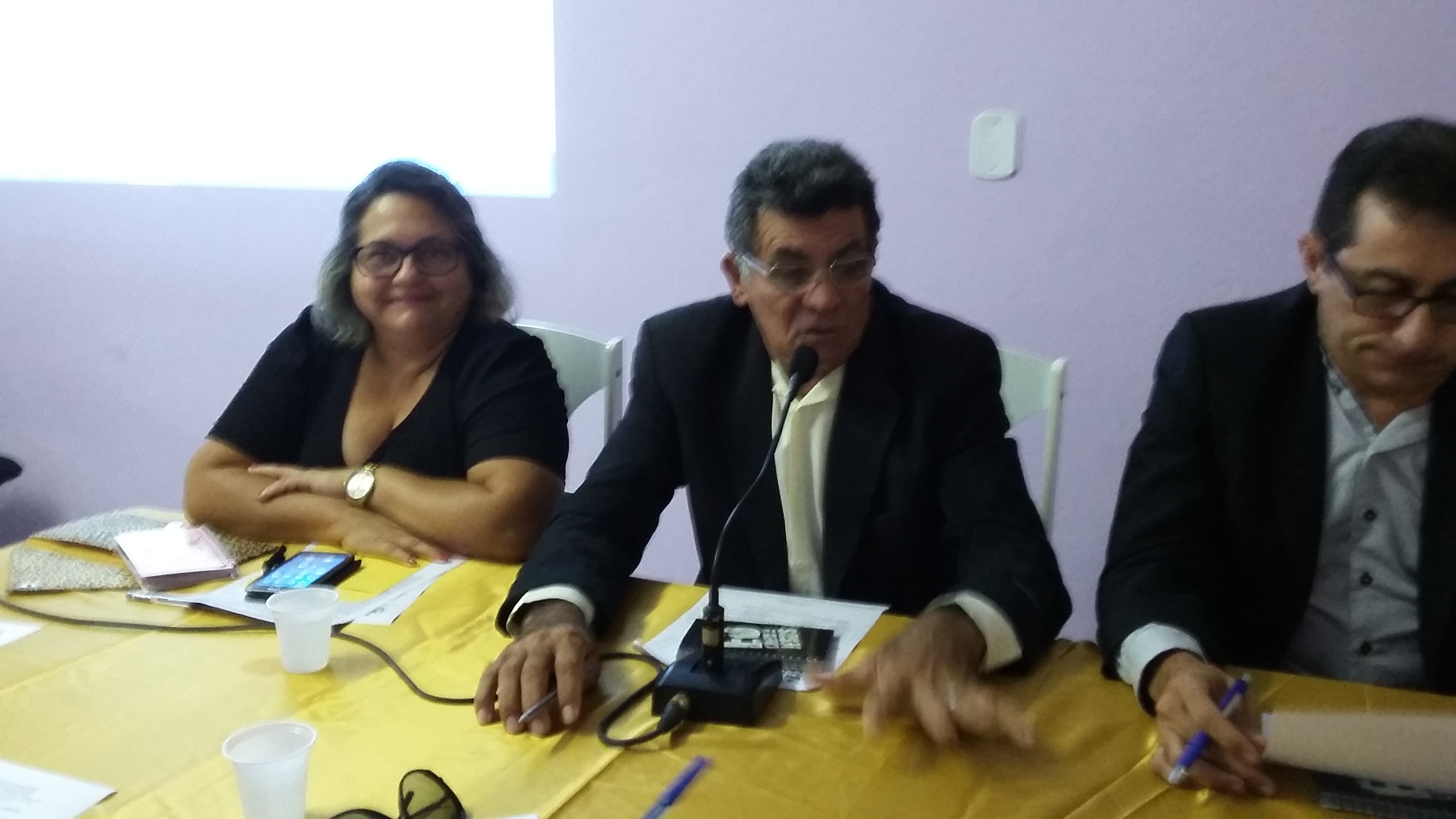 7ª Sessão Plenária